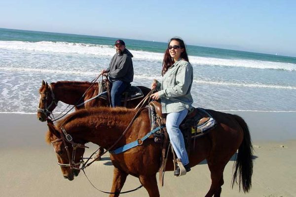 Monterey Bay Equestrian
